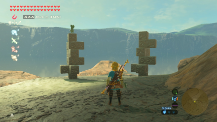 Botw - Woodland Korok 29 Overworld View