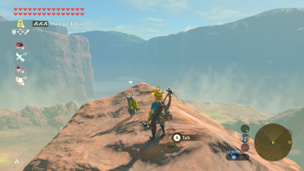 Botw - Woodland Korok 30 Overworld View