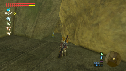 Botw - Woodland Korok 4 Overworld View