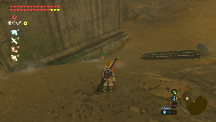 Botw - Woodland Korok 5 Overworld View