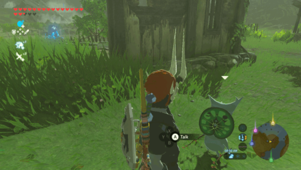 Botw - Lanayru Korok 2 Overworld View