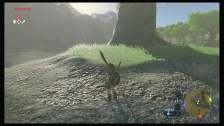 Botw - Hateno Korok 41 Overworld View