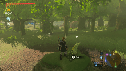 Botw - Lanayru Korok 6 Overworld View