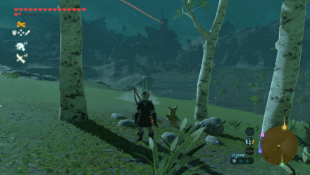 Botw - Lanayru Korok 7 Overworld View