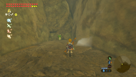 Botw - Woodland Korok 9 Overworld View