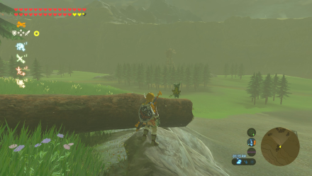 Botw - Woodland Korok 10 Overworld View