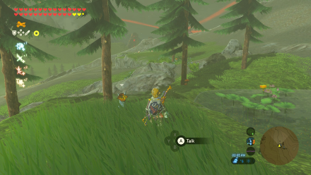 Botw - Woodland Korok 11 Overworld View