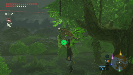 Botw - Lanayru Korok 13 Overworld View