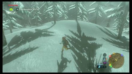 Botw - Hateno Korok 48 Overworld View