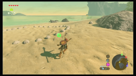 Botw - Hateno Korok 59 Overworld View