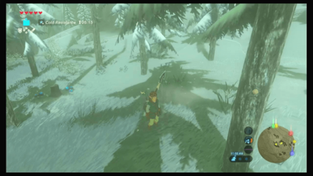 Botw - Hateno Korok 52 Overworld View