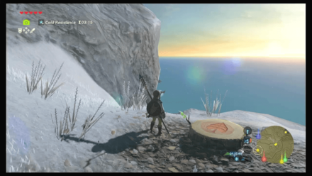 Botw - Hateno Korok 53 Overworld View