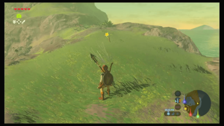 Botw - Hateno Korok 60 Overworld View
