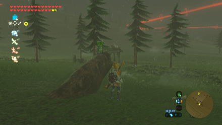 Botw - Woodland Korok 16 Overworld View