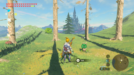 Botw - Woodland Korok 20 Overworld View