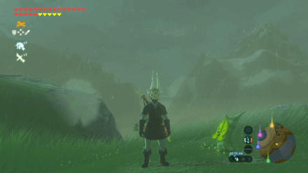 Botw - Lanayru Korok 24 Overworld View