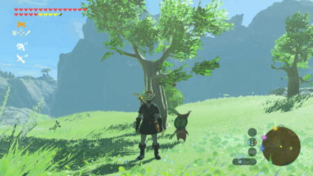 Botw - Lanayru Korok 26 Overworld View