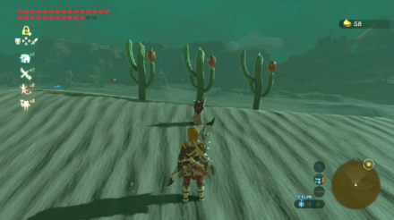 Botw - Wasteland Korok 47 Overworld View