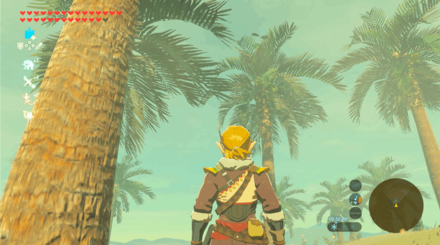 Botw - Wasteland Korok 48 Overworld View