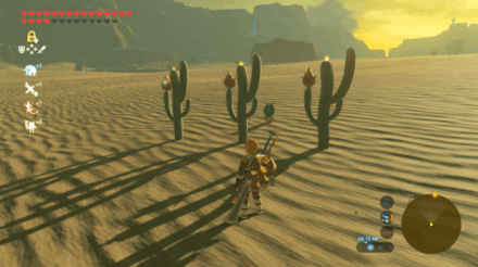 Botw - Wasteland Korok 54 Overworld View