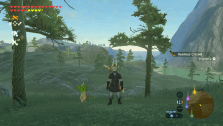 Botw - Lanayru Korok 30 Overworld View