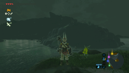 Botw - Lanayru Korok 35 Overworld View