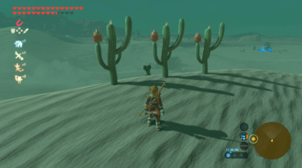 Botw - Wasteland Korok 62 Overworld View