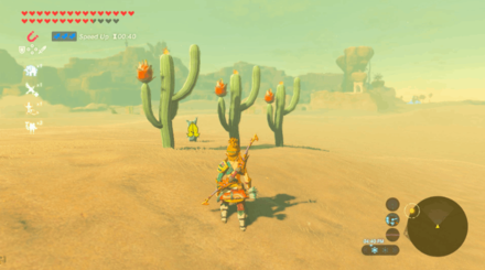 Botw - Wasteland Korok 60 Overworld View