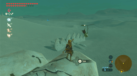 Botw - Wasteland Korok 63 Overworld View