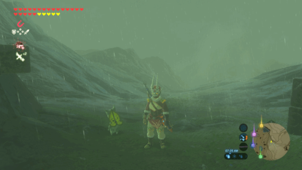 Botw - Lanayru Korok 40 Overworld View