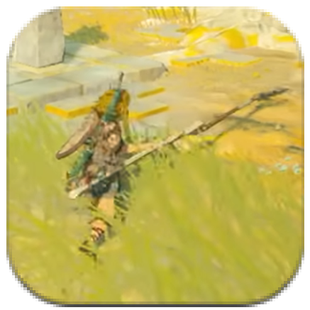 Tears of the Kingdom - Farmer