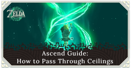 Zelda TOTK - Ascend and Pass Through Ceilings