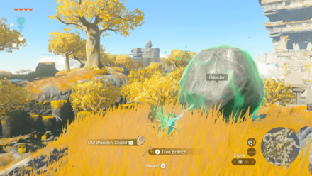 Zelda TotK - Fused Weapon