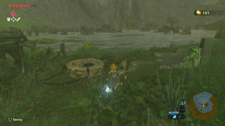 Botw - Lake Korok 1 Overworld View