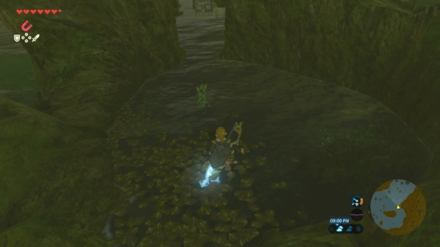 Botw - Lake Korok 2 Overworld View