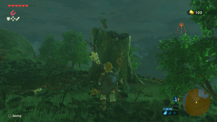 Botw - Lake Korok 3 Overworld View