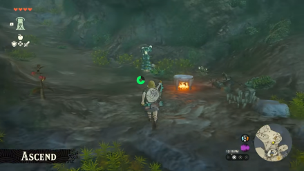 TOTK Sky Islands Cave