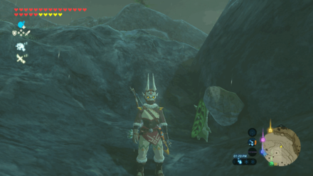 Botw - Lanayru Korok 43 Overworld View