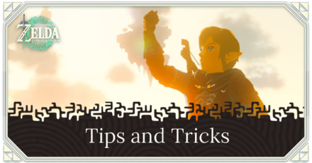 Zelda TotK - Beginner