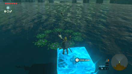 Botw - Lake Korok 4 Overworld View