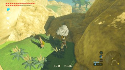 Botw - Tabantha Korok 9 Overworld View