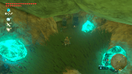 Botw - Tabantha Korok 7 Overworld View