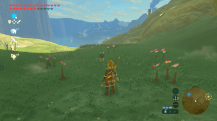 Botw - Tabantha Korok 1 Overworld View