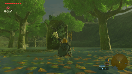Botw - Lake Korok 5 Overworld View