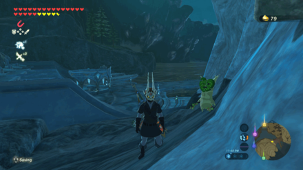 Botw - Lanayru Korok 53 Overworld View