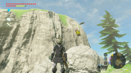 Botw - Lanayru Korok 57 Overworld View