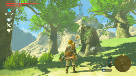 Botw - Tabantha Korok 12 Overworld View