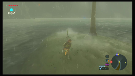 Botw - Faron Korok 1 Overworld View