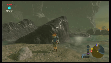 Botw - Faron Korok 2 Overworld View