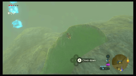 Botw - Faron Korok 5 Overworld View